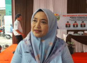 Anggota DPRD Sumsel Daerah Pemilihan I, Ir. Romiana Hidayati,